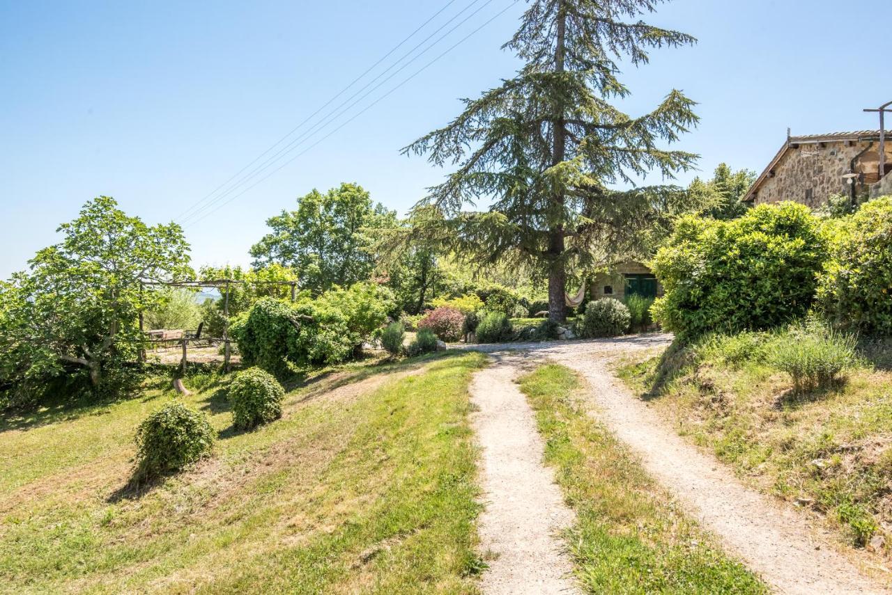 Appartamento Gemma Verde-Tavoleto Castiglione dʼOrcia Екстериор снимка